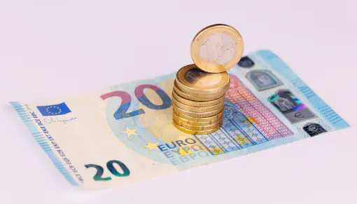 Immagine di una banconota da venti euro e monete, esplicativa dei bonus per gli sperimentatori